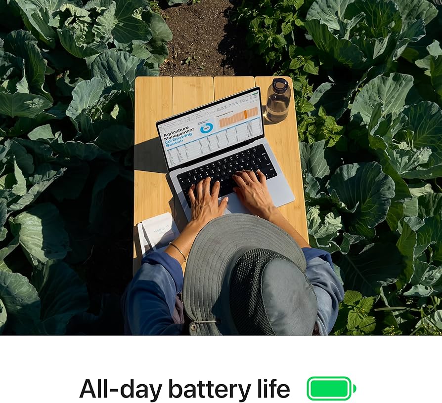 Overhead view: person typing on a silver MacBook amidst green cabbage plants.