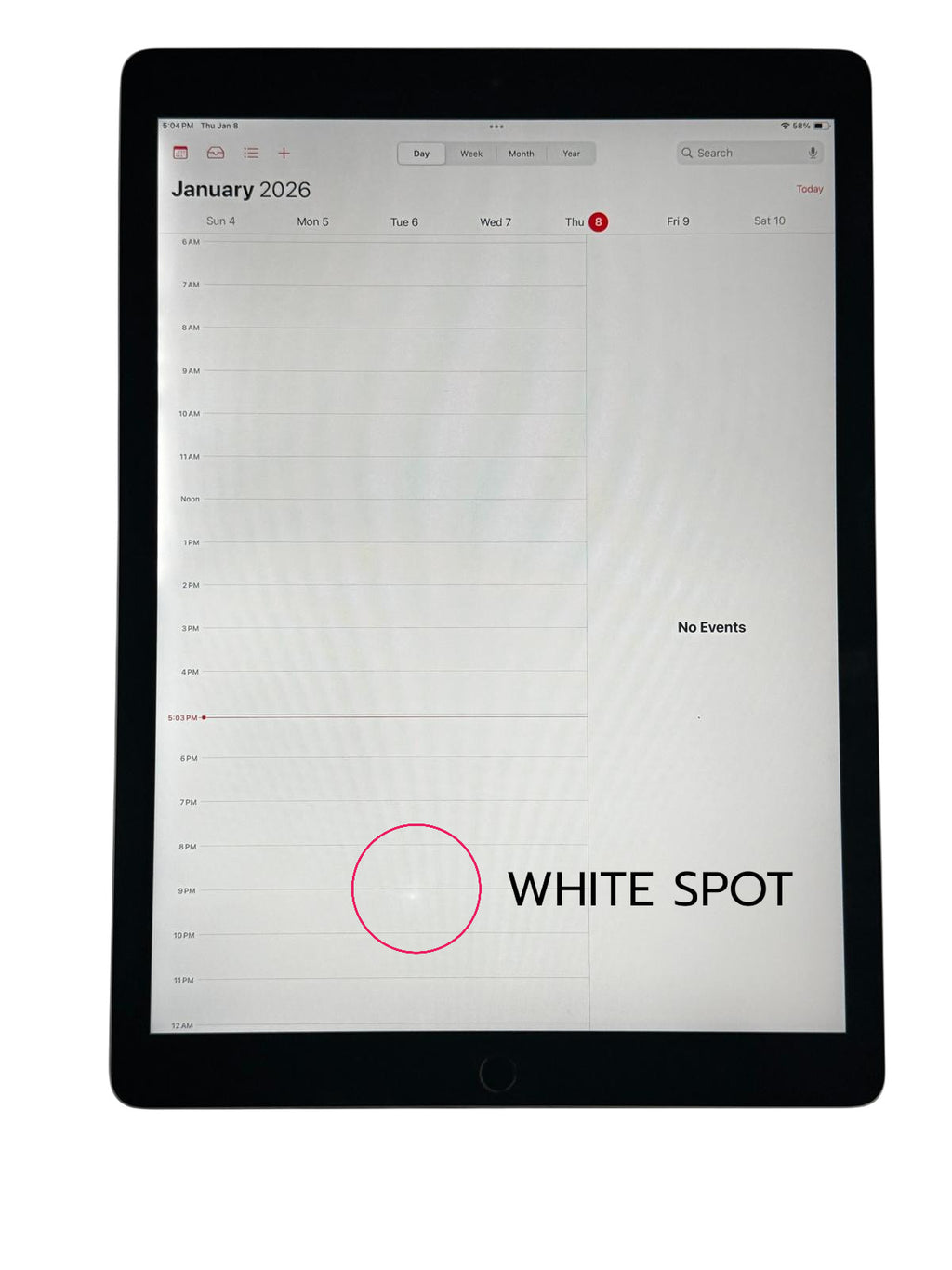 Apple - 12.9" iPad Pro 256GB (2nd generation) with Wi-Fi - MINOR WHITE SPOT