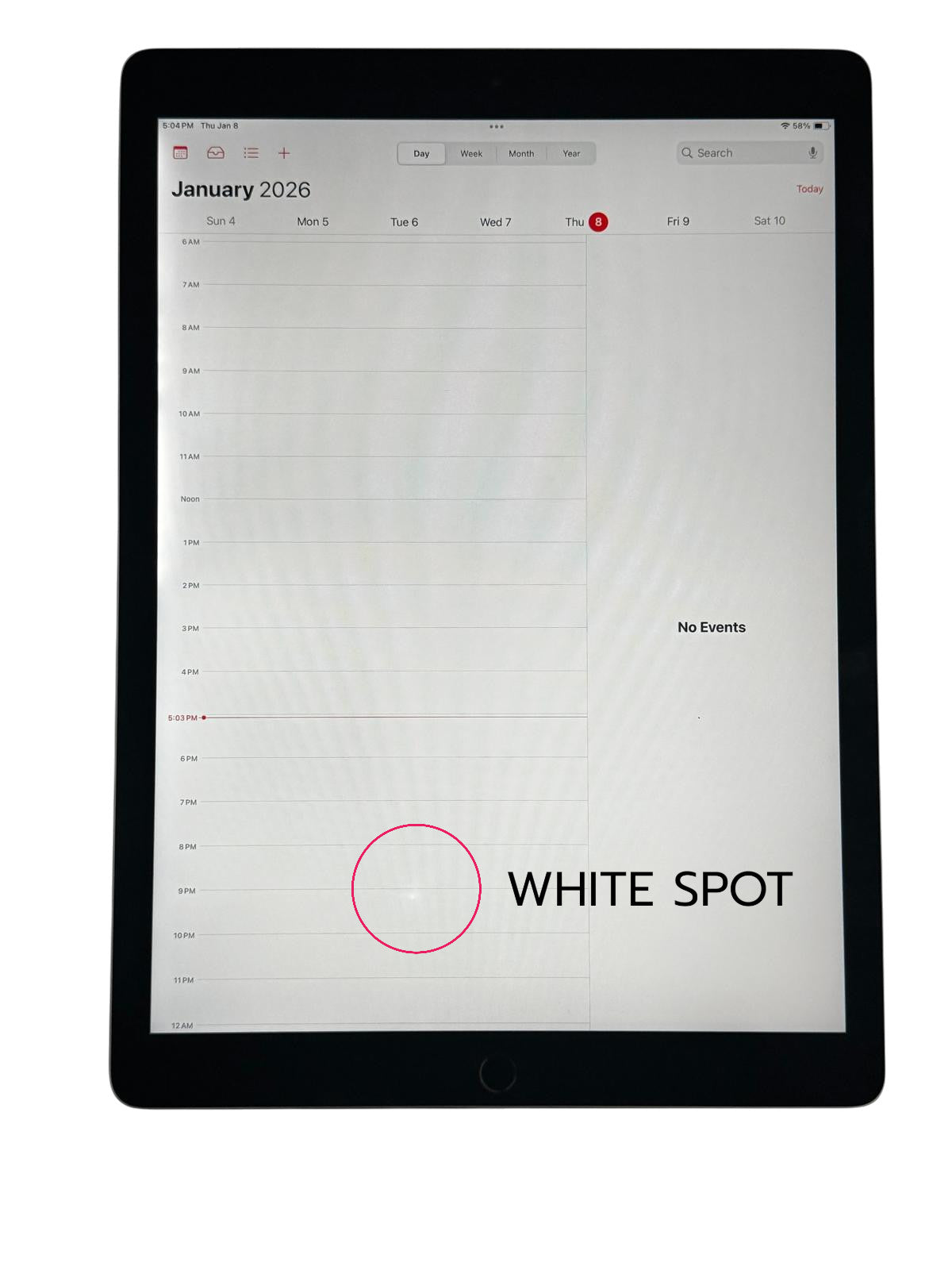 Apple - 12.9" iPad Pro 256GB (2nd generation) with Wi-Fi - MINOR WHITE SPOT