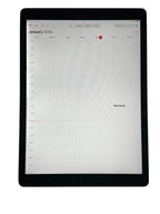 Apple - 12.9" iPad Pro 256GB (2nd generation) with Wi-Fi - MINOR WHITE SPOT